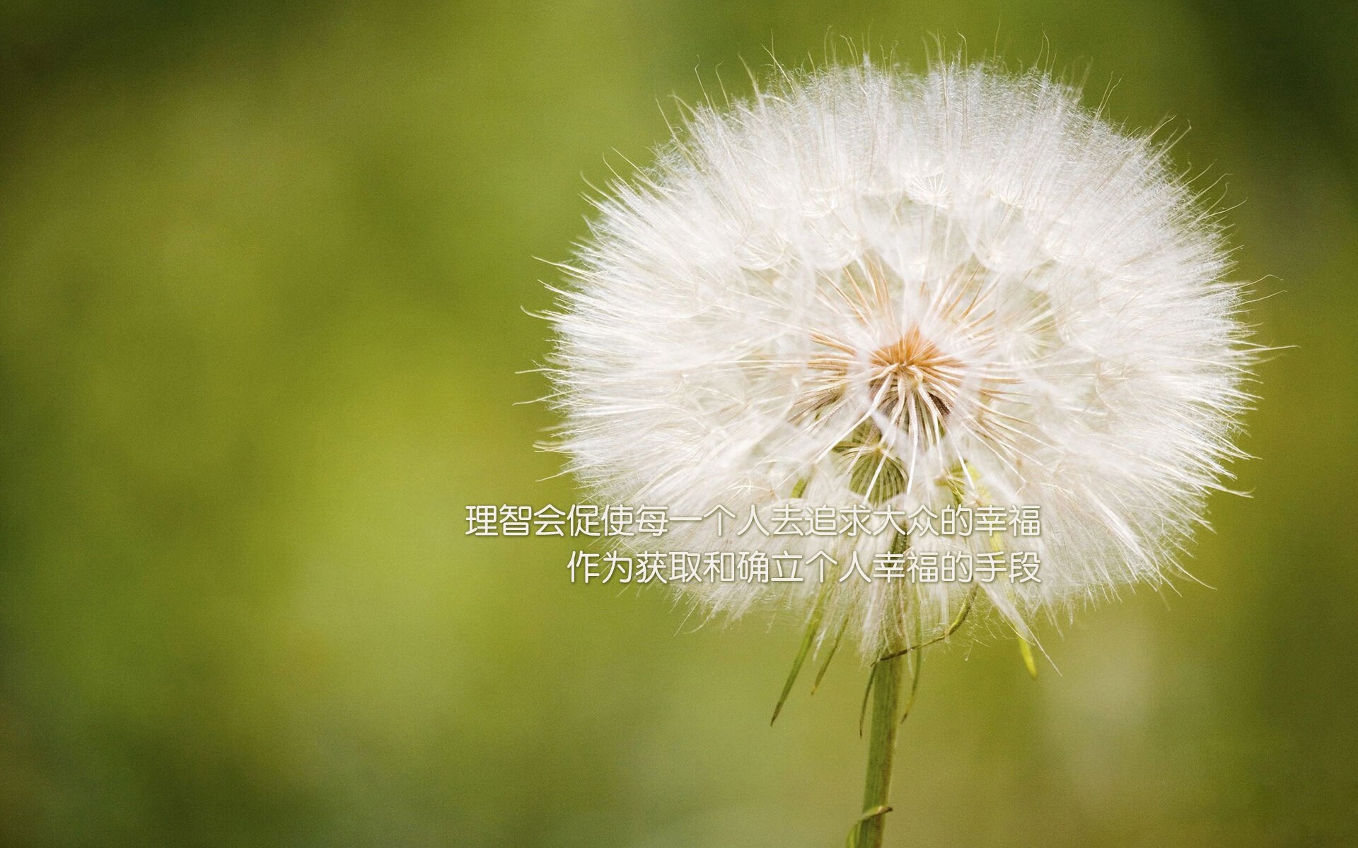 _老鹰队快攻犀利，获得重要胜利_，老鹰队战术