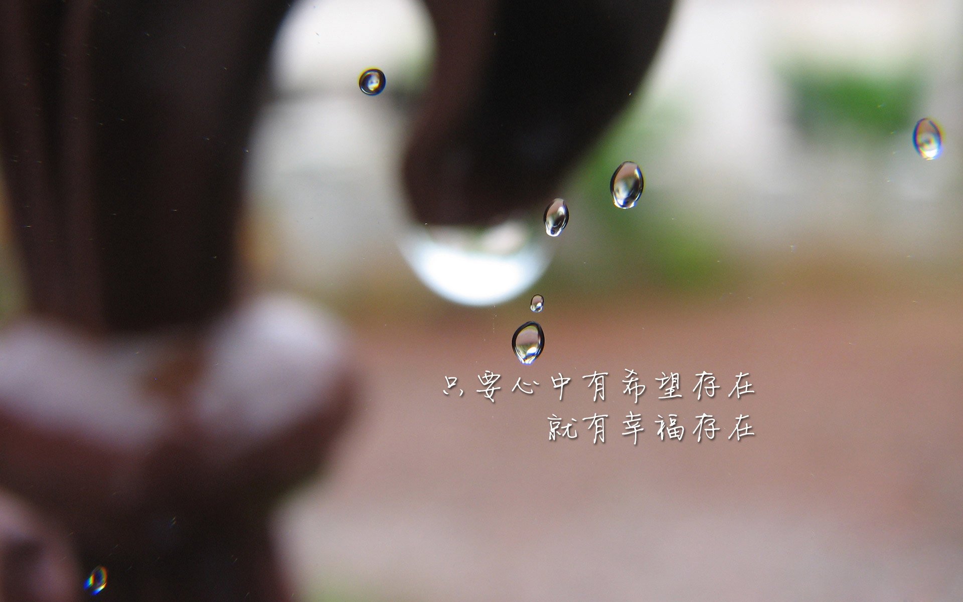 “伤病潮来袭，公牛队如何应对挑战？”，公牛队现在怎么样了