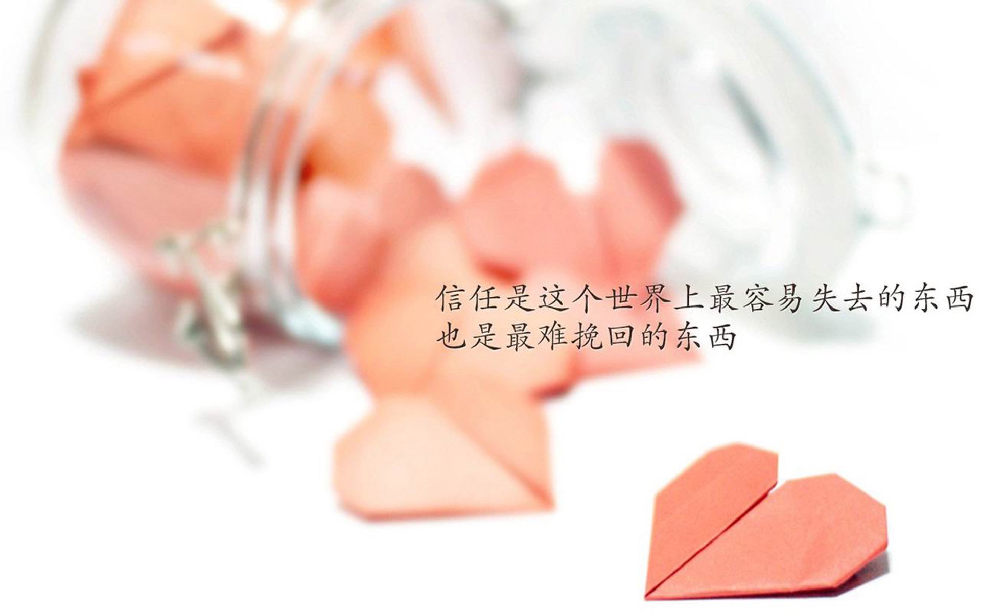 意大利马术协会与亚洲马术协会建立合作关系，推动区域发展。，意大利马术服装品牌