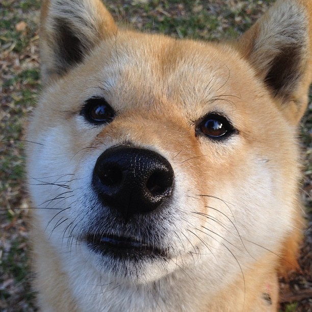 瑞士队在巴黎奥运会比赛中展现出强大的个人突破能力，奥运会瑞士代表团