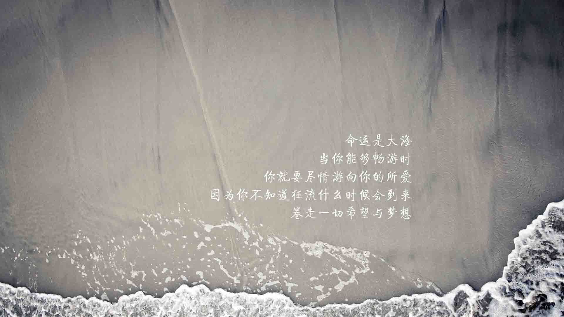 美国马术协会与非洲马术协会开展技术援助项目，提升当地水平。