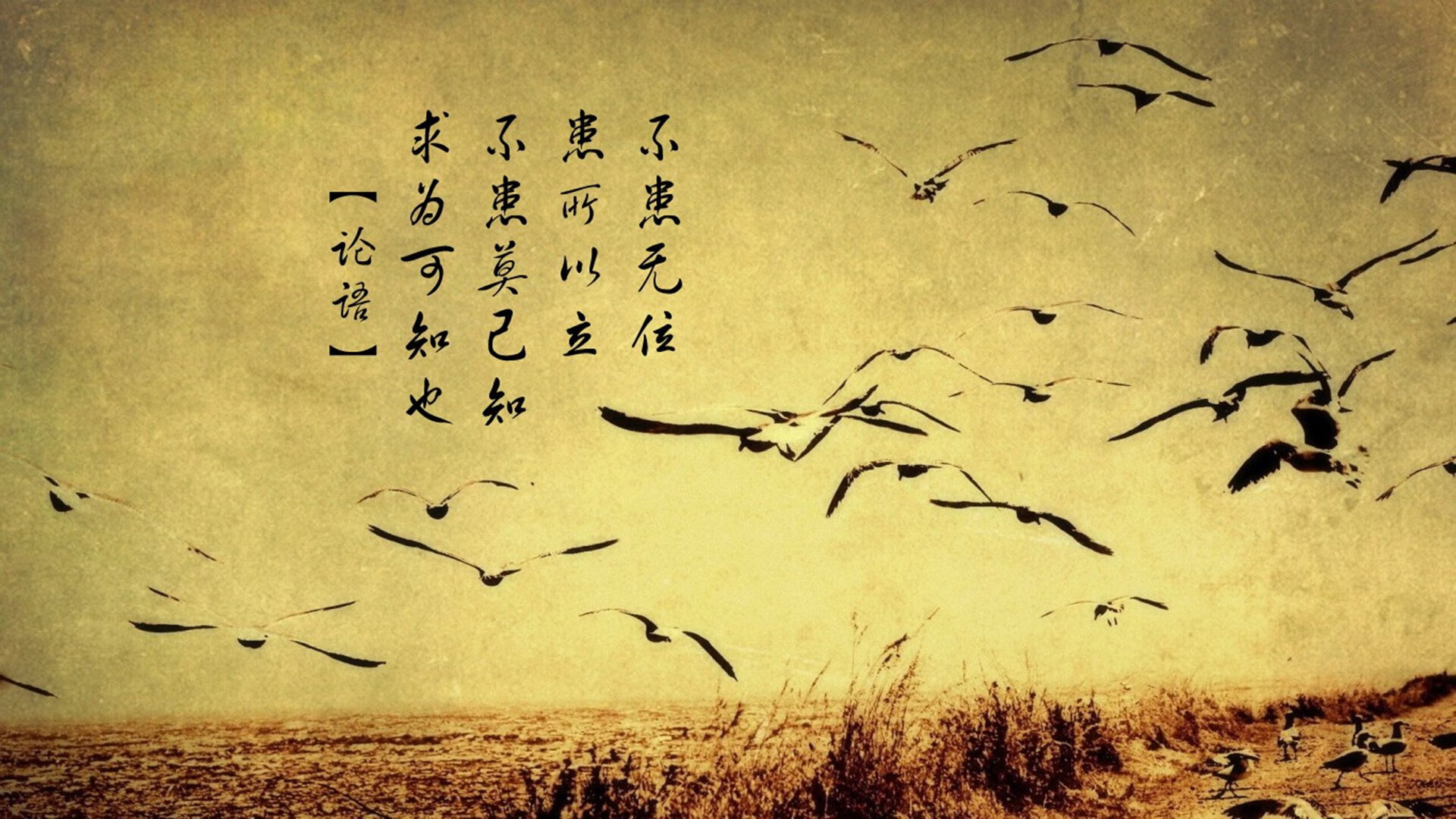 广州龙狮球队氛围持续优化，广州龙狮队老板是哪里人