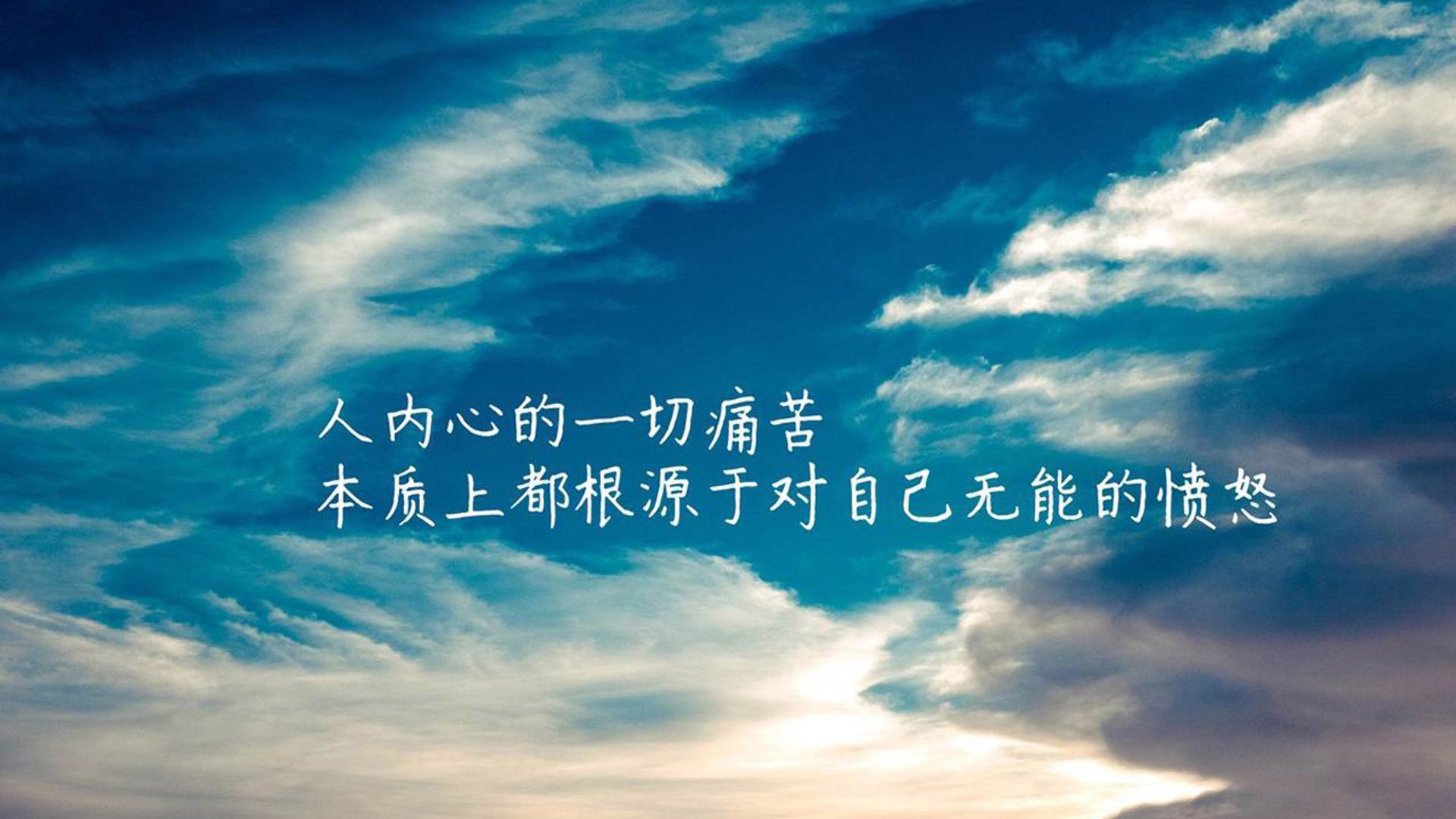 观众热捧选手风采，活动人气高涨，观众热捧选手风采,活动人气高涨怎么形容