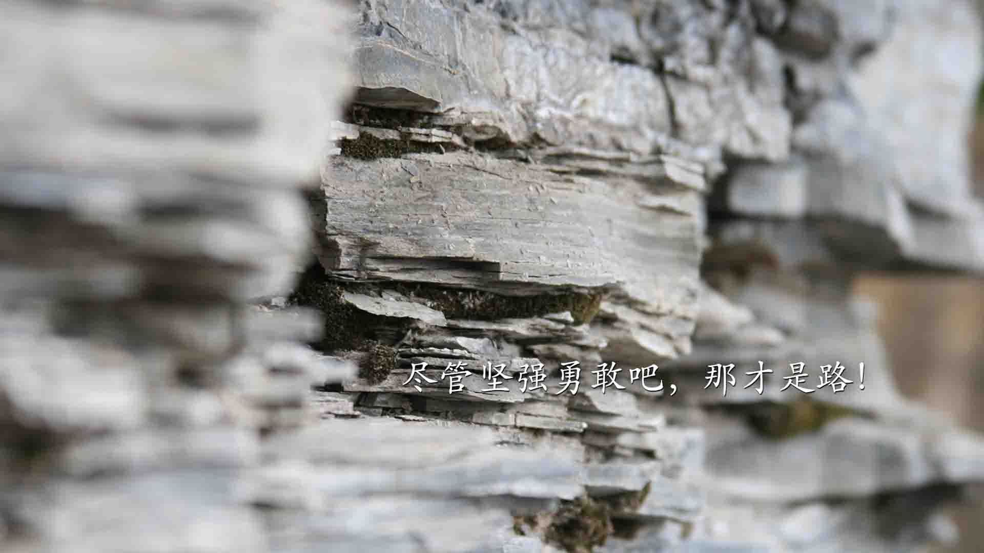 阿根廷国家队战胜秘鲁，梅西助攻双响率队取胜，阿根廷国脚加盟梅西