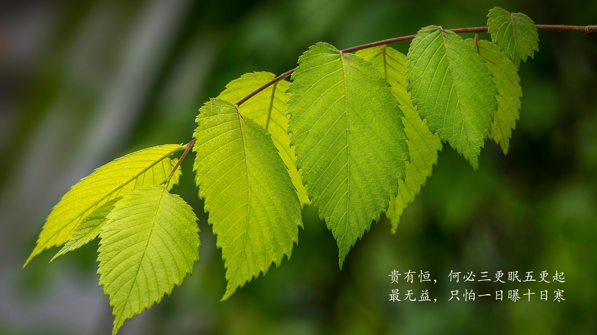 体育场馆绿色改造项目，体育场馆绿色改造项目名称