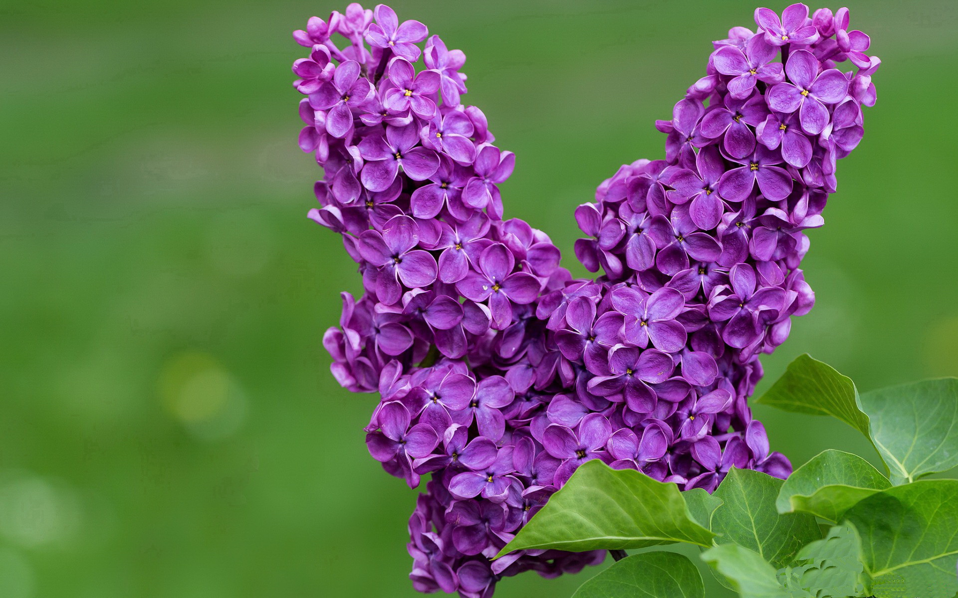 全国青少年篮球联赛上海站精彩纷呈，全国青少年篮球邀请赛