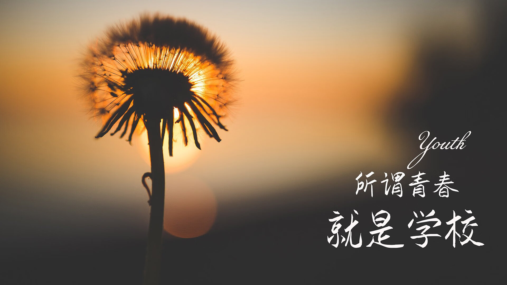 法甲赛季中密集赛程下恢复机制与表现稳定性研究，法甲联赛什么时候恢复