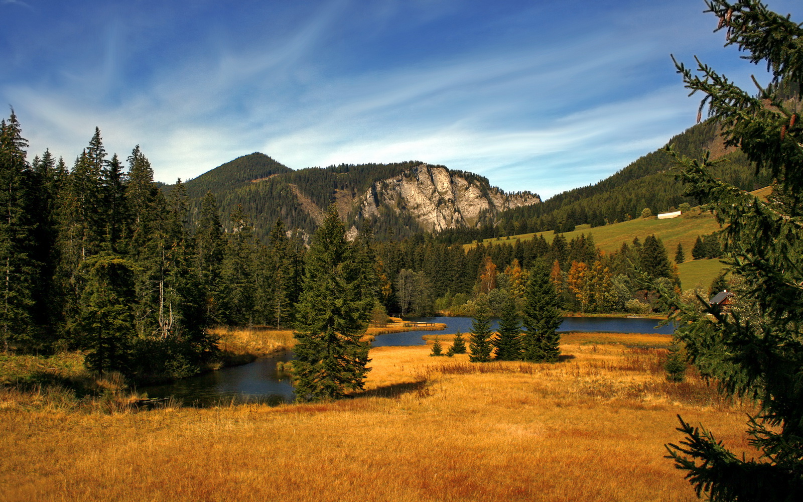 开云中国大陆-CBA赛场再现绝杀 高强度对抗引关注，cba绝杀视频回放