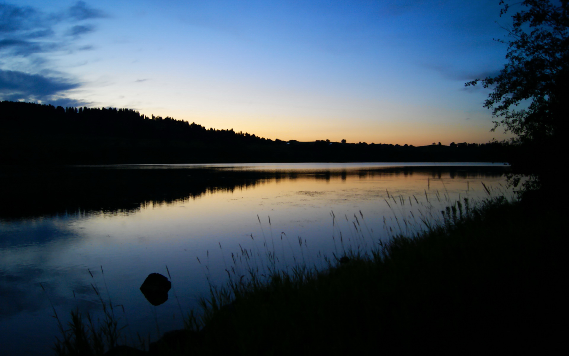 体育新闻平台数据报告显示用户增长速度持续稳定