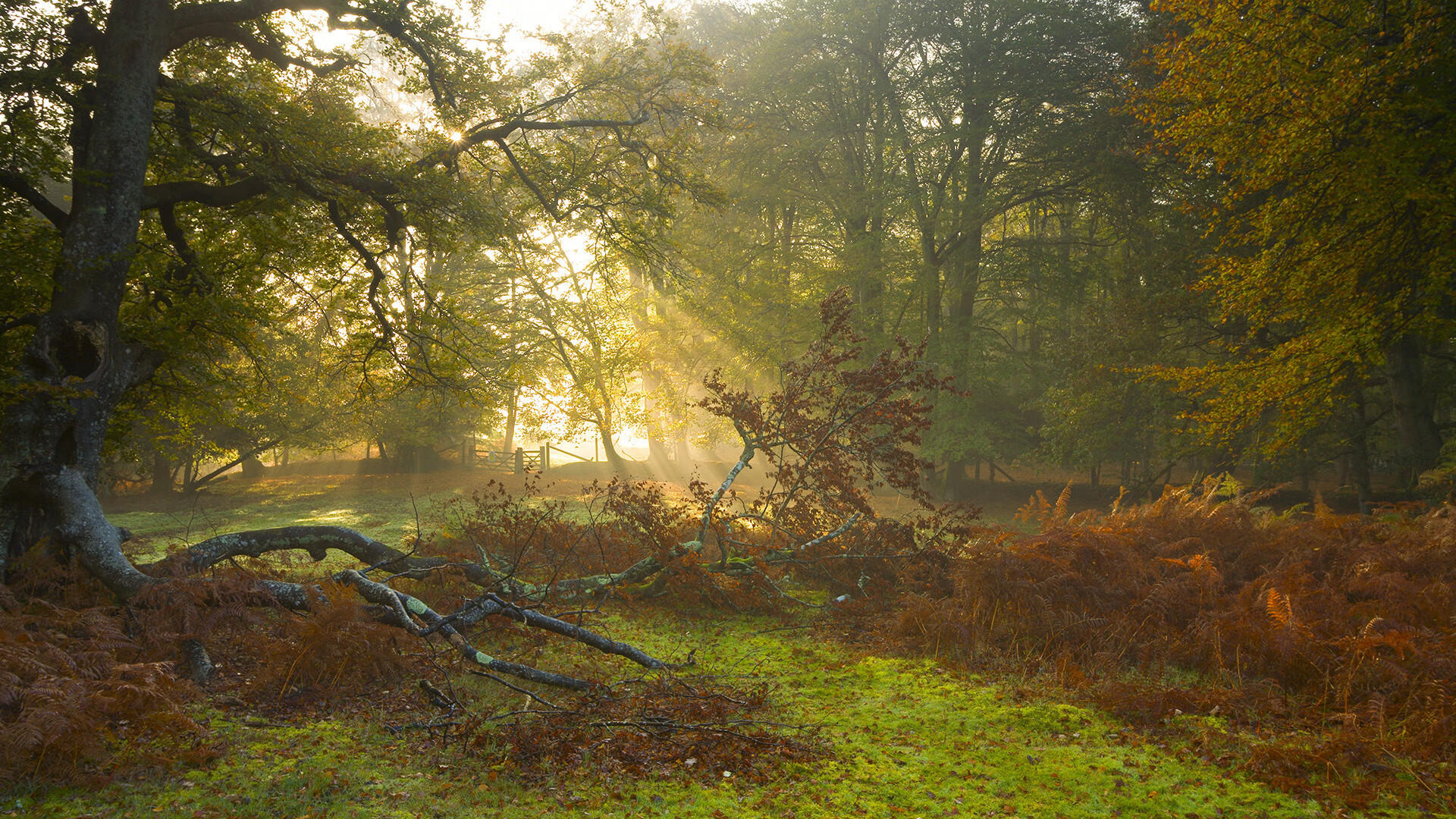 欧洲超级联赛扩军预热，多支豪门纷纷表态支持，欧洲超级联赛百度百科