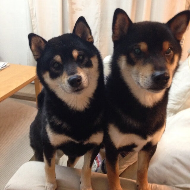 kaiyun官方网站-球员勇救俱乐部财务陷阱，集资支持球队运营，球队的资金来源