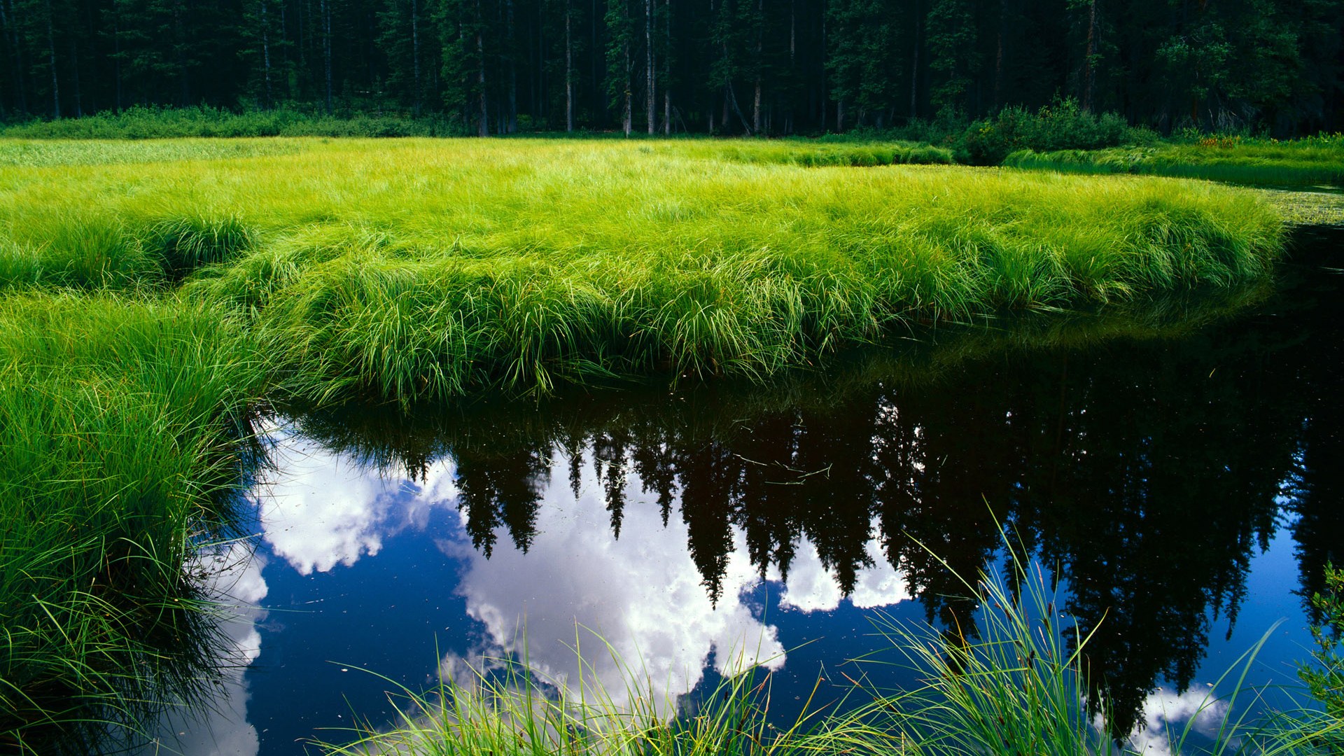 开云中国-美洲杯逆转轮番：精彩剧情不停演绎！，美洲杯专题