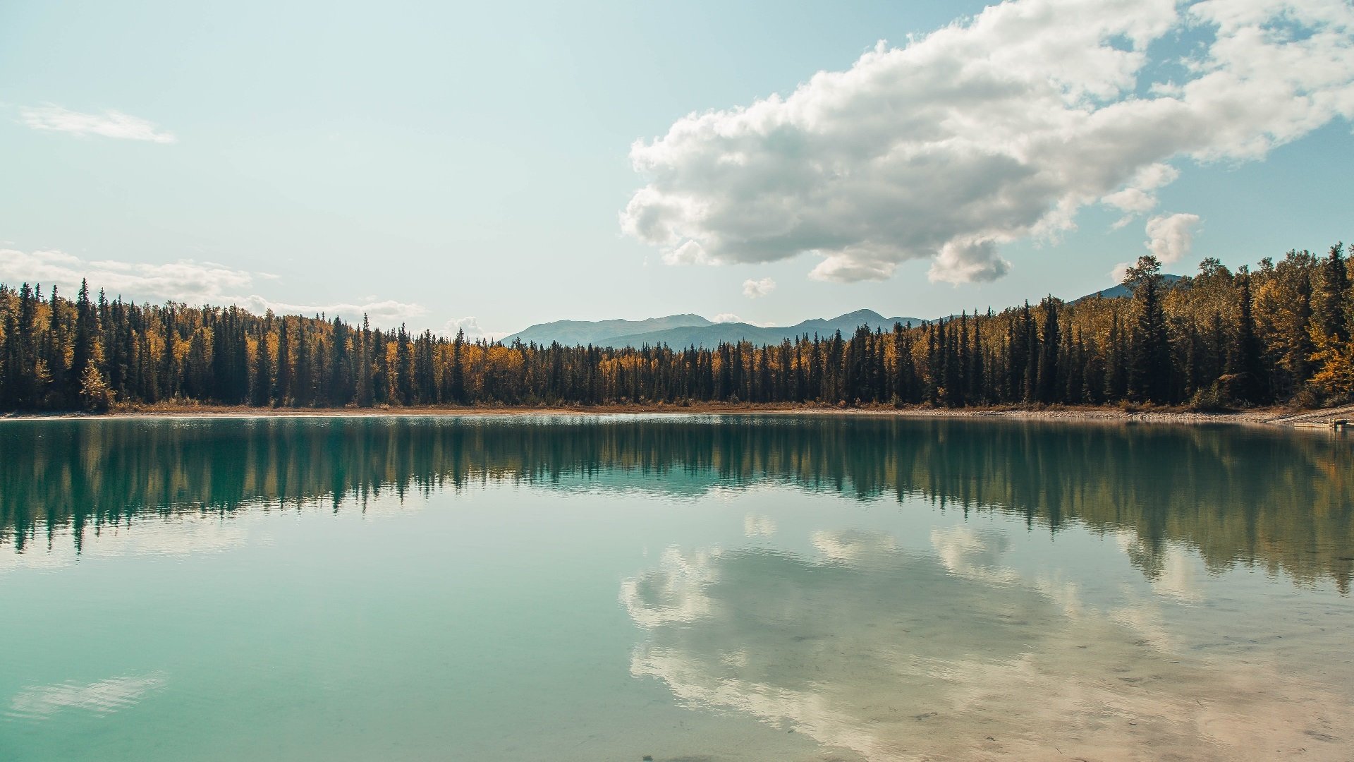 英超联赛中的心理健康管理，英超联赛特性及大数据精细汇总