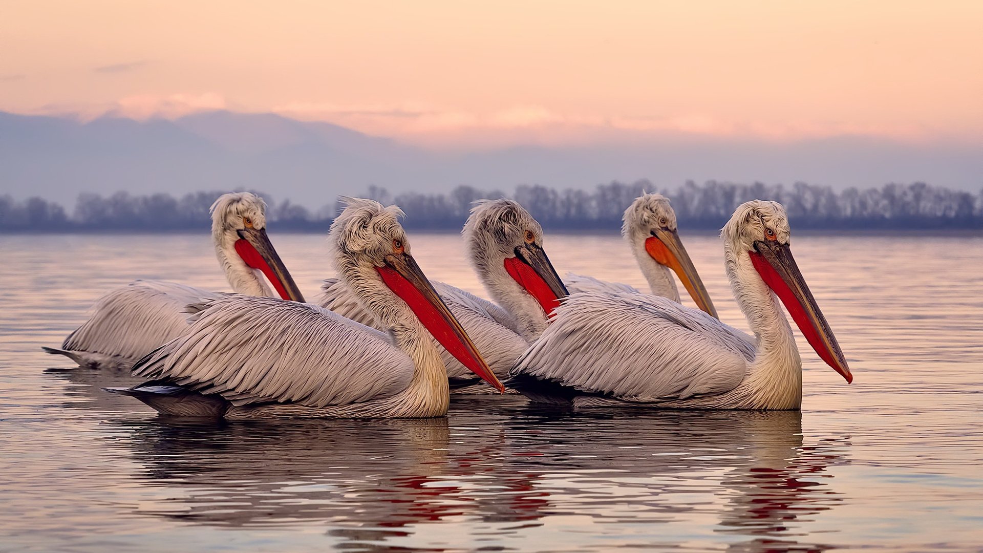 青少年足球比赛设置体能比拼环节促进全面发展，青少年足球专项体能训练教程